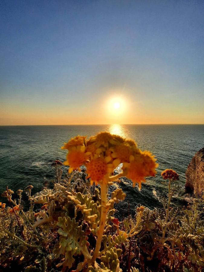 Villa Panorama, Vue Mer Et Falaises D Exception Ετρετά Εξωτερικό φωτογραφία